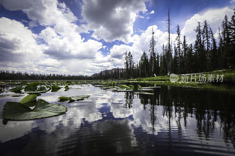 有Lilly Pads的High Uintas Lake